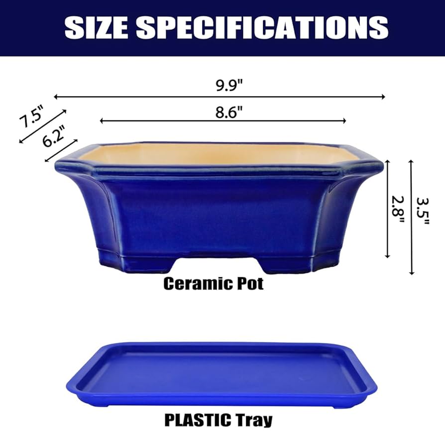 Amazon.com : MUZHI Blue Bonsai Plant Pot 9.9” with Drip